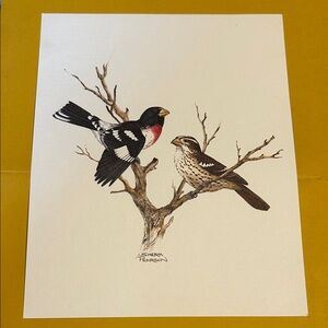 6 Song Bird Art Prints